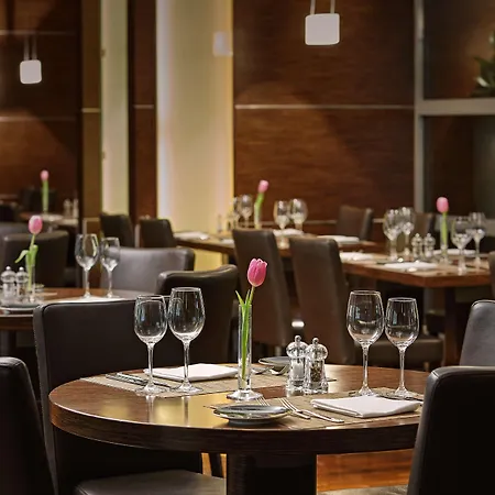 Hilton מלון 5*